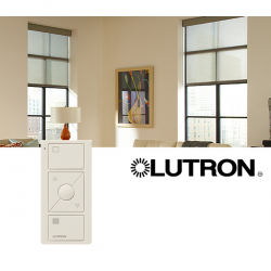 Lutron domotique